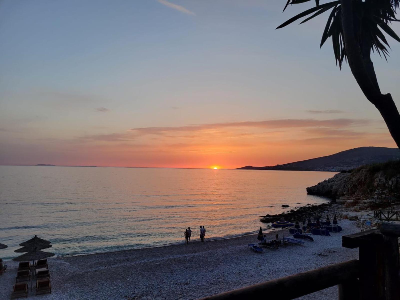 Seaview Junis