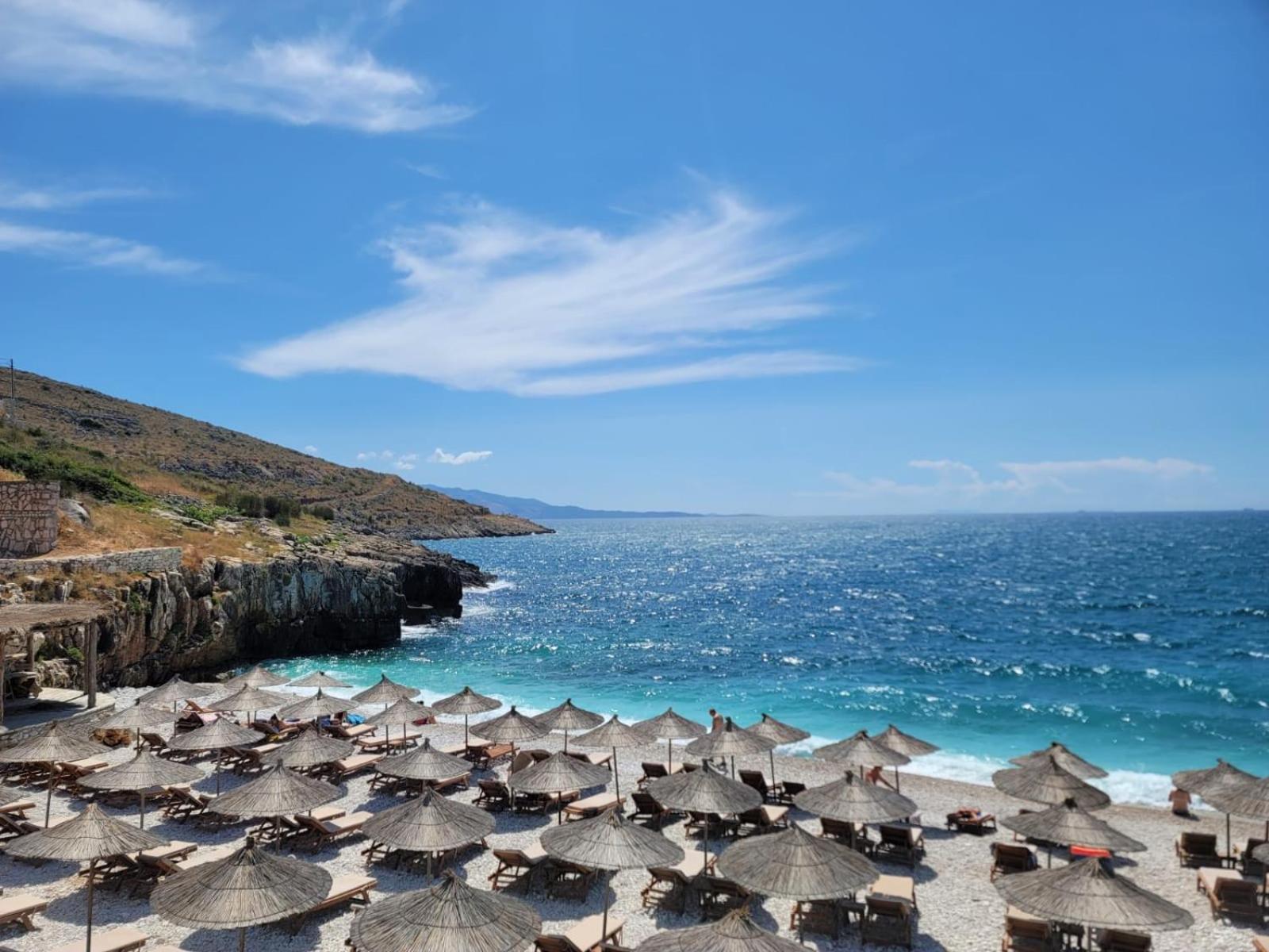 Seaview Junis